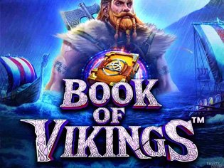 Book Of Vikings